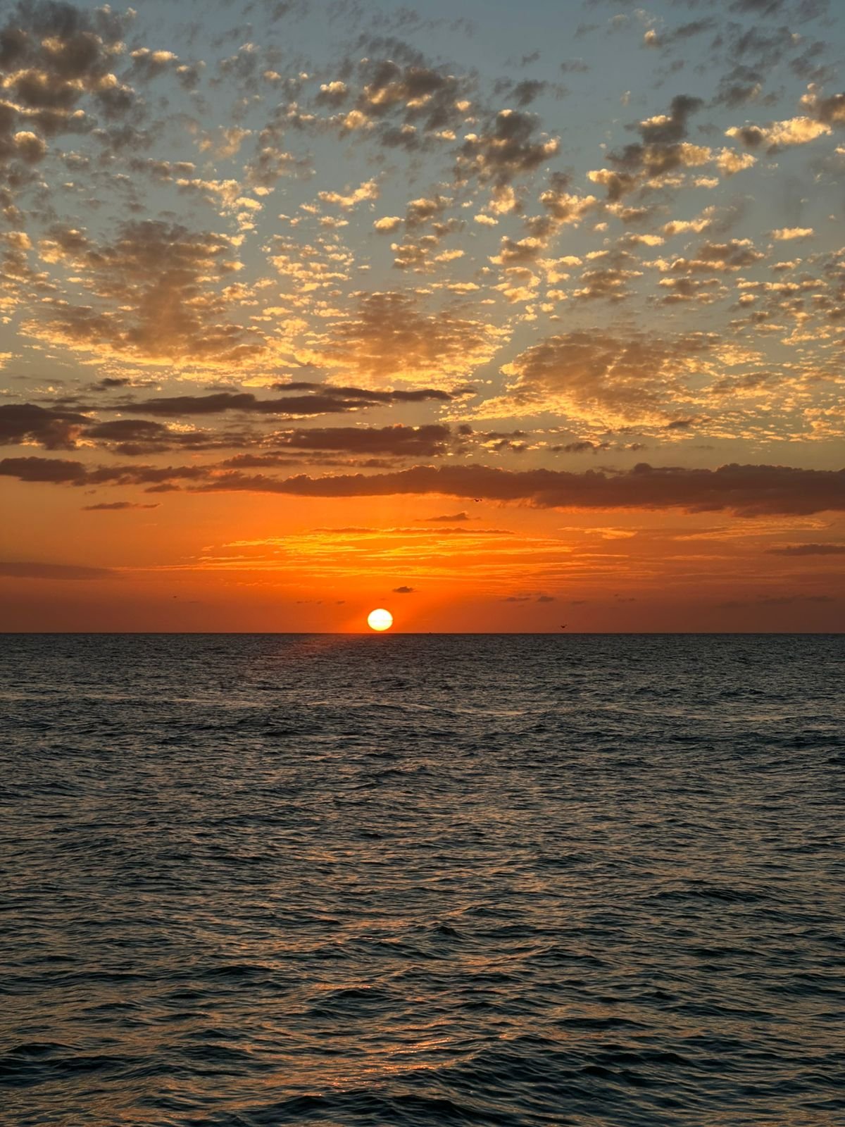 Equipo de Viajes en Oferta en oficina